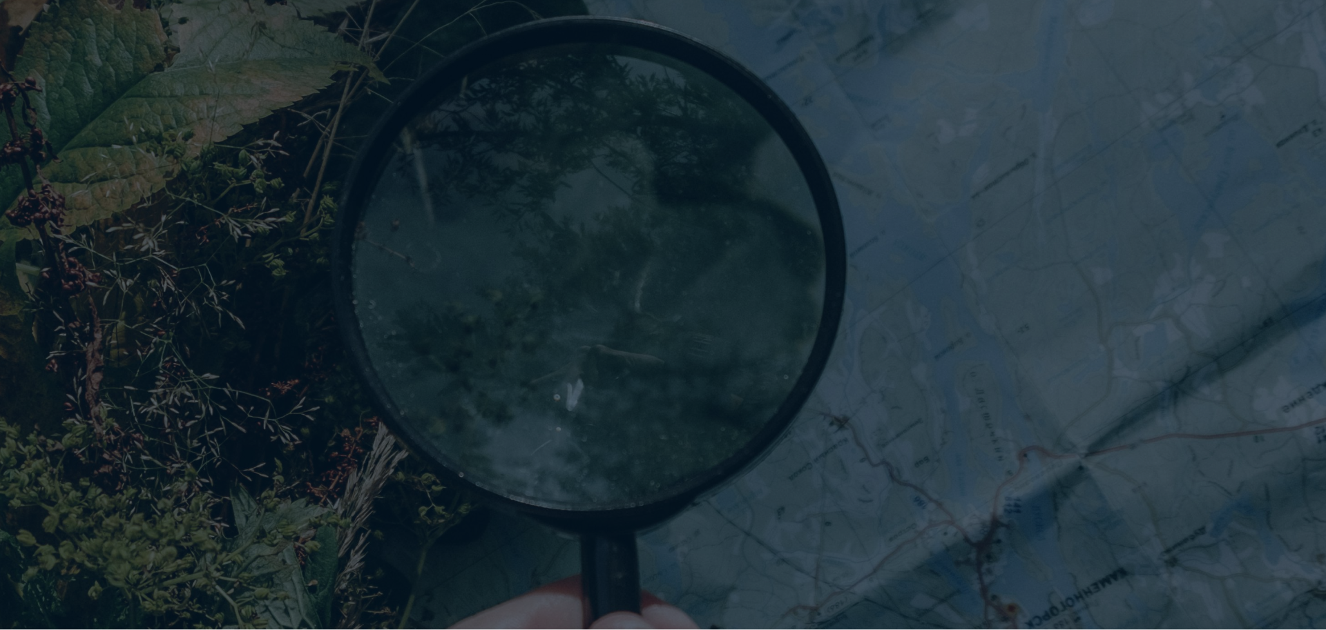 Hero Background